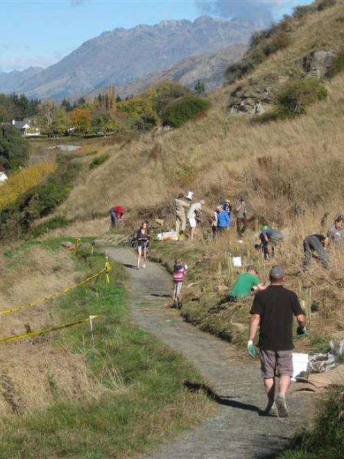 Wakatipu volunteers flocked to the latest Lake Hayes planting day on April 28 as part of Project...