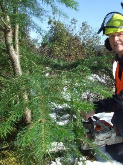 Wakatipu Wilding Confifer Control Group chairman Peter Wilsman, of Queenstown. Photo by Joe...
