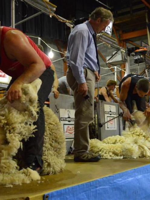 Weaker demand has pushed the price of wool down. Photo by ODT.