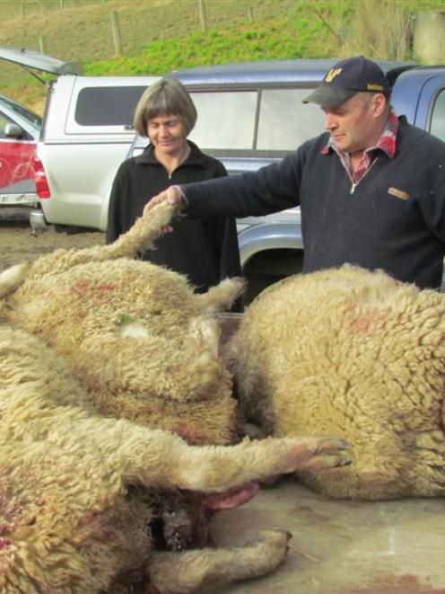 Wendy and John Dodd with some of the stud rams shot on their Tapui farm at the weekend. Photo by...