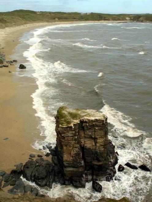 Whether it be a taste for history, beautiful scenery, bush walks or just plain salt air, there is...