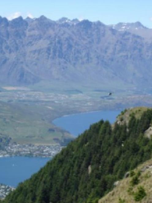 Wilding pines are colonising bluffs above Queenstown.