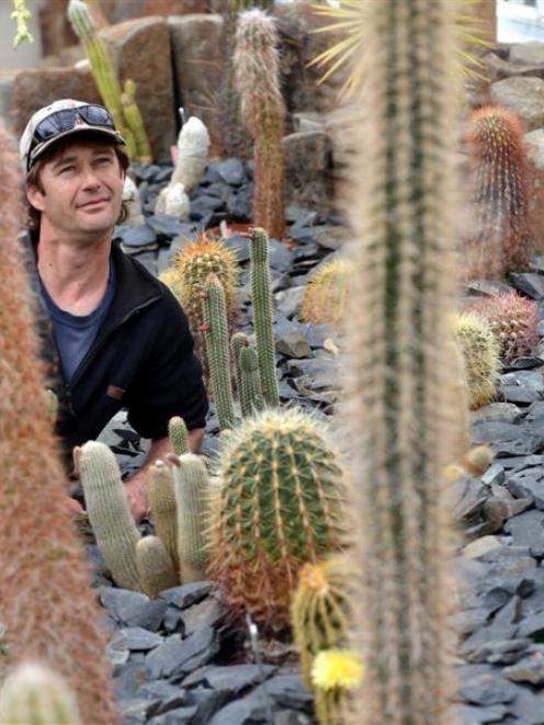 Winter Garden collection curator Stephen Bishop with  cacti on display in a glasshouse at the...
