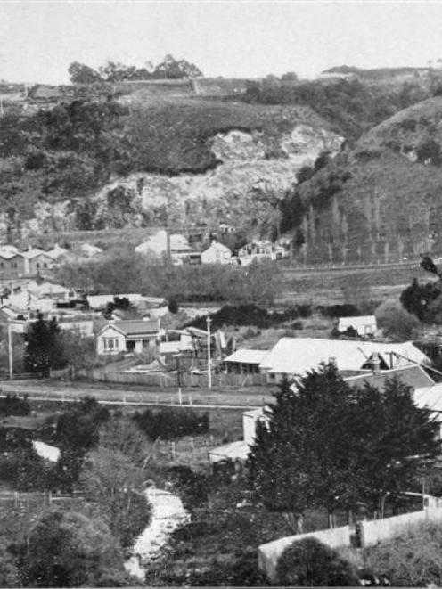 Woodhaugh, Dunedin, showing the paper mills at left, with the suburb of Maori Hill on the rise in...