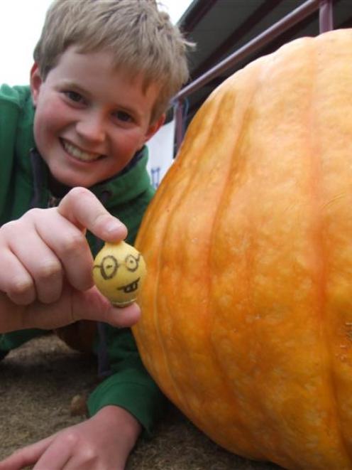 Wyatt Ryder holds his small entry in Ardgowan School's pumpkin-growing competition, alongside the...