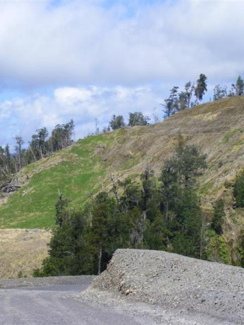 Year-old land rejuvenation slopes at Bathurst Resources' Cascade mine, on the Denniston plateau,...