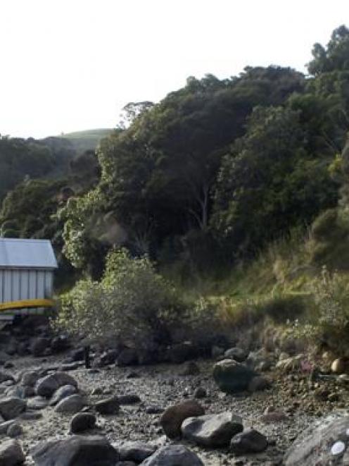 Yvette Hendry, secretary of the Purakaunui Amenities Society, walks along the Purakaunui Inlet...