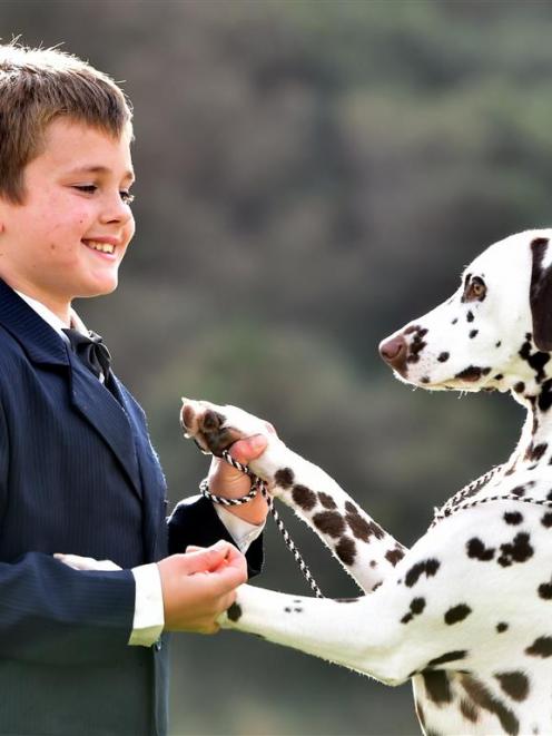 James Monson (12), of Dunedin, shows Torri the dalmation, of Gore, at the South Otago Kennel...