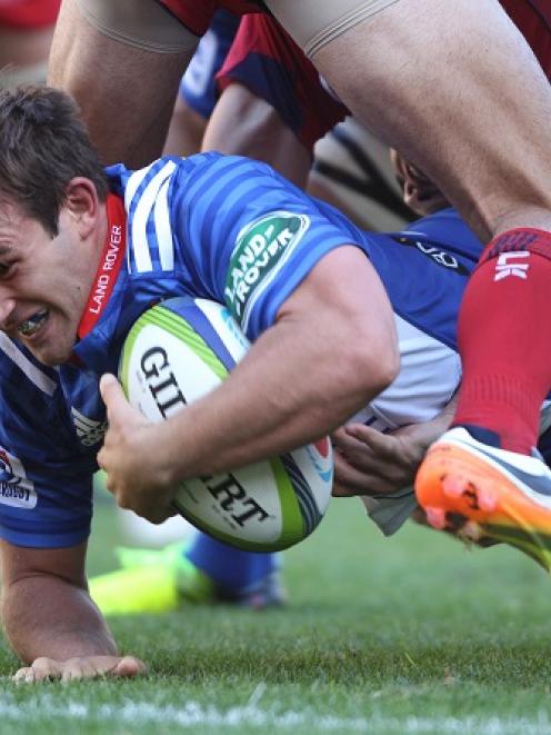 Stormers halfback Nic Groom dives over to score against the Reds. Photo Getty