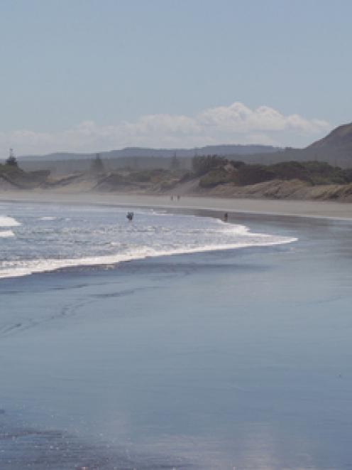 The small beach community of Muriwai in West Auckland has been suggested as the location of a...