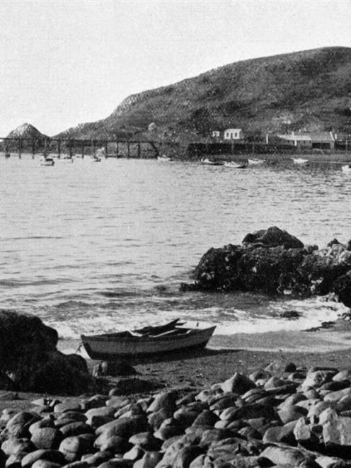 A favourite North Otago coastal resort: Moeraki Bay. — Otago Witness, 31.5.1916.
