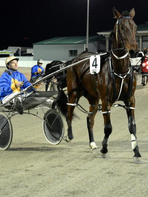 Bettordean after his win in the first heat of the Forbury Park sprint series two weeks ago. Photo...
