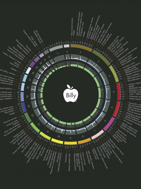 The Analysis of Billy Apple’s Genome, by Billy Apple and Dr Craig Hilton.