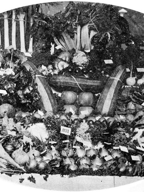 The Benhar School’s first prize collection of vegetables at the Otago A. and P. Society’s annual...