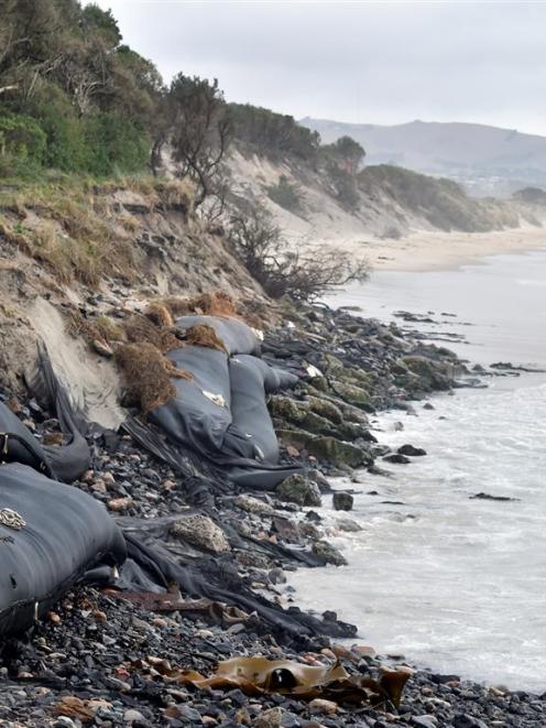 Sand sausages exposed at Ocean Beach. Photo: Gregor Richardson