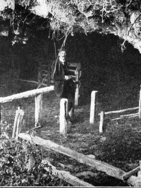 The historic sheep shearing cave at Kaikai Beach. Copies of image available from ODT front office...