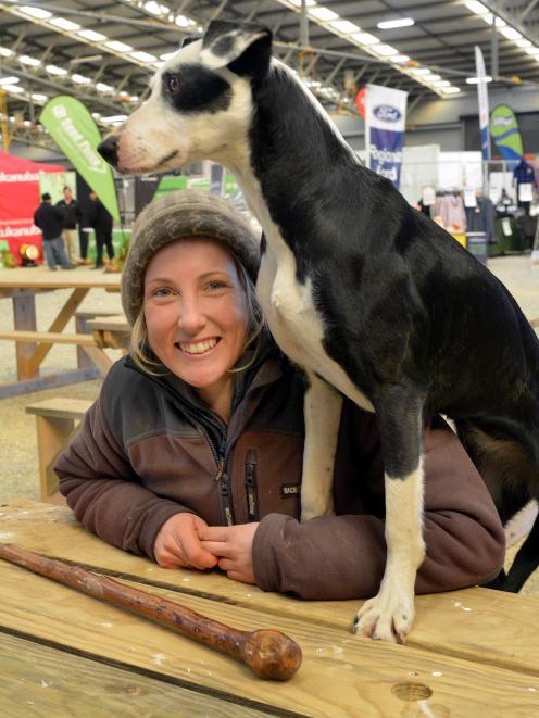 Jackie Clarke and her heading bitch, Faye, at the Southern Indoor Charity Dog Trial at Waimumu yesterday. Photo by Stephen Jaquiery.