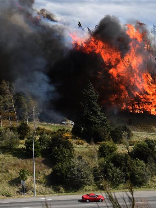The Saddle Hill fire burning in Dunedin in October last year. Photo by Peter McIntosh.
