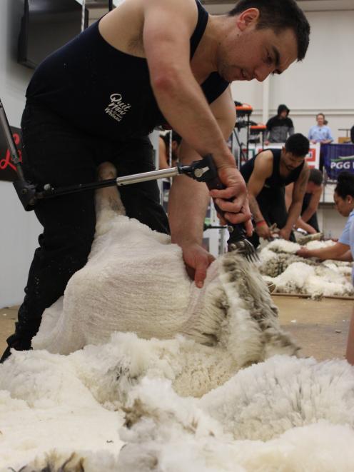 Mike Ferguson, of Alexandra, gives a ewe a short back and sides during the heats of the New...