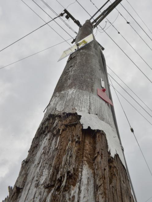 A red-tagged power pole in North Rd near Dunedin North Intermediate. Photos: Gerard O'Brien.