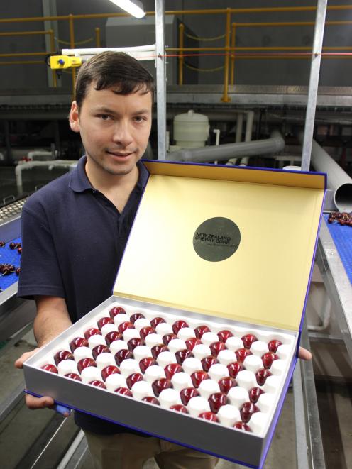 Packhouse worker Patrick Lindegger displays a box of luxury cherries at New Zealand Cherry Corp...