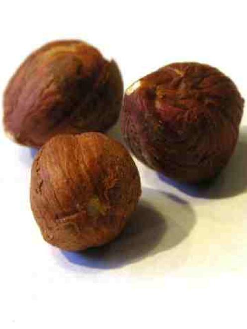 Hazelnuts are being considered for the proposed community orchard plantings in Northeast Valley....