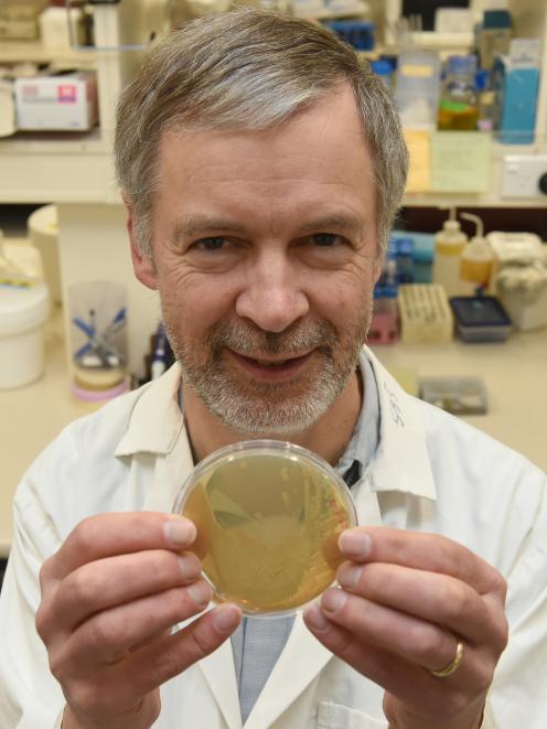 University of Otago Biochemist Prof Iain Lamont is thrilled after being granted more than $1million for his superbug research. Photo: Gregor Richardson