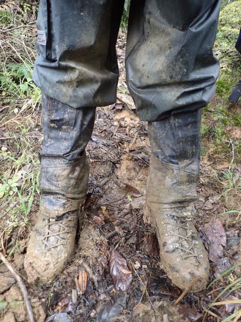 Covered in Northland mud after ‘‘terrible’’ weather. 