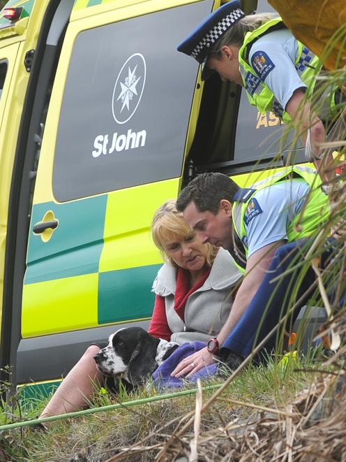 An officer tends to a dog injured in the crash. Photo: Christine O'Connor