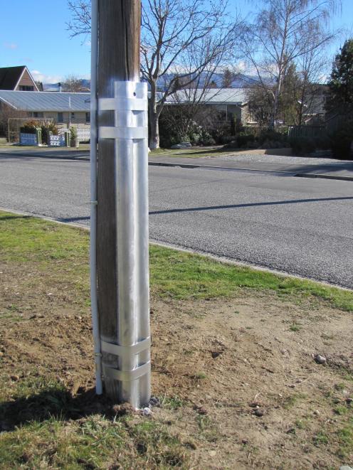 Pole nailing secures a pole in Eureka St, Alexandra, next to one that fell down in August. Photo: Pam Jones