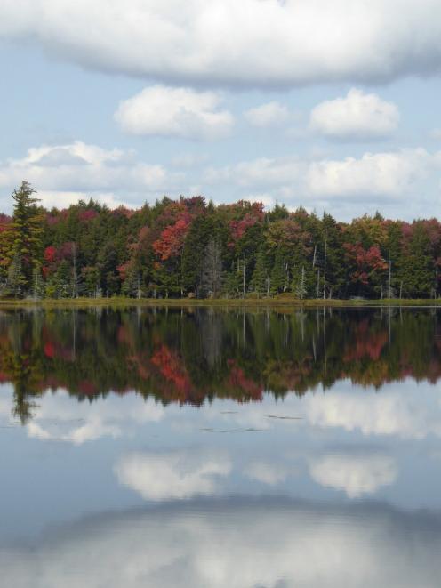 The beauty of a lake in New York state, USA. Photo: Kel Fowler