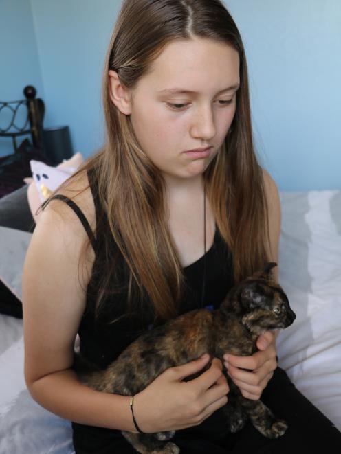 Allyssia Nicol (12) is relieved her sister’s kitten, Hazel, did not come to more harm after it...