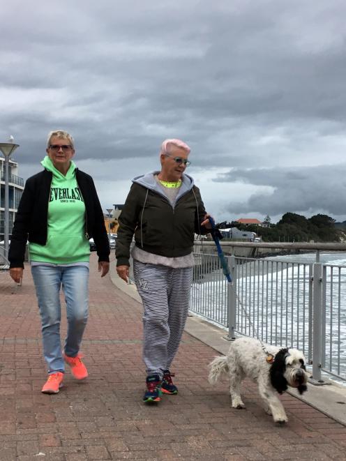 Deborah Willis (left) and Janet Giles, both of Adelaide, walk dog Ralph on a leash on the Esplanade in St Clair on Monday night. PHOTO: SHAWN MCAVINUE