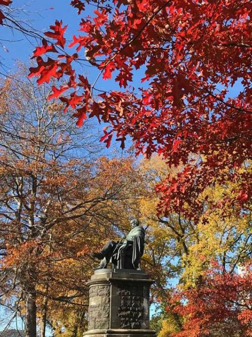 Pin oaks and elms lend dignity to the statue of the Rev Dr Donald McNaughton Stuart in Dunedin's...