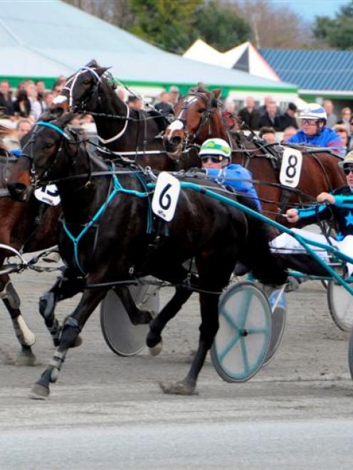 Carabella (Ricky May) wins the Harness Jewels at Ashburton at her last start. Photo by Tayler...