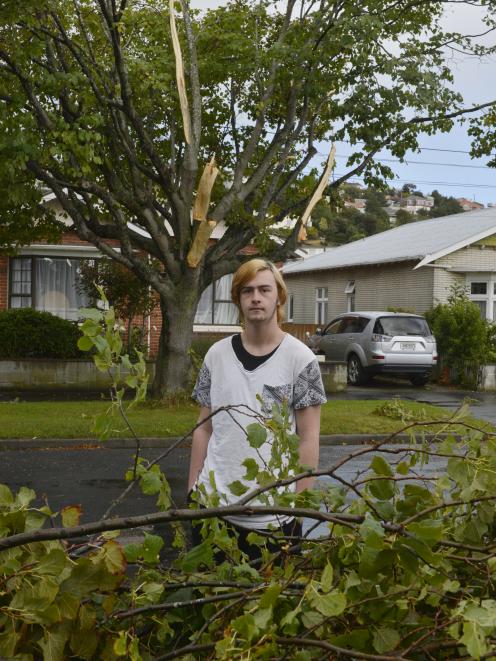 Surrey St resident Callum Walker (17) next to some of the branches ripped from a tree by a mini tornado on Tuesday night. Photo: Gerard O'Brien