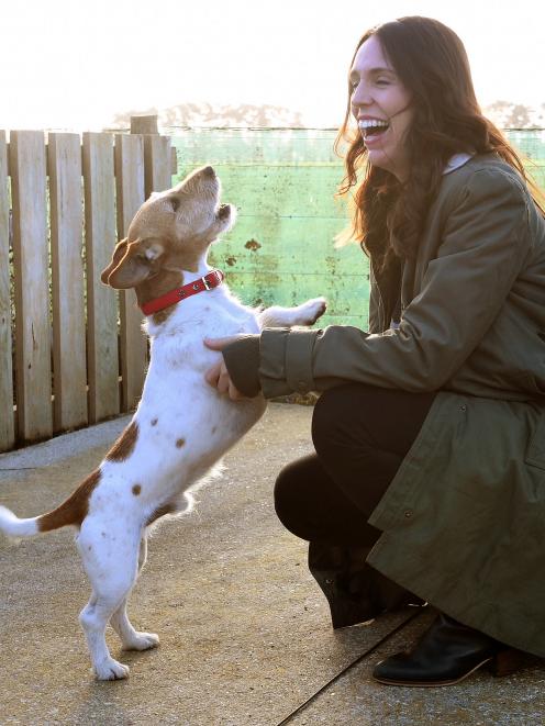 Prime Minister Jacinda Ardern  takes a short break, with Machito, after the serious business of a Mycoplasma bovis media conference at the Movern farm where sharemilkers  Leo and Maite Bensegues work. Machito is their dog. Photo: Stephen Jaquiery