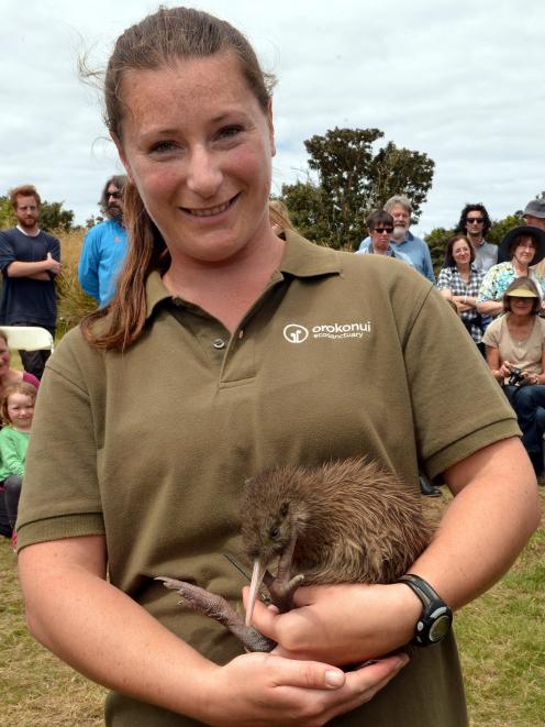 Orokonui Ecosanctuary head ranger Kelly Gough holds Tuatahi, the first of 10 Haast tokoeka kiwi...