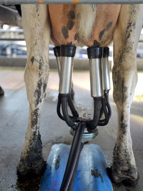 Milking by near-monopoly. Photo: Christine O'Connor