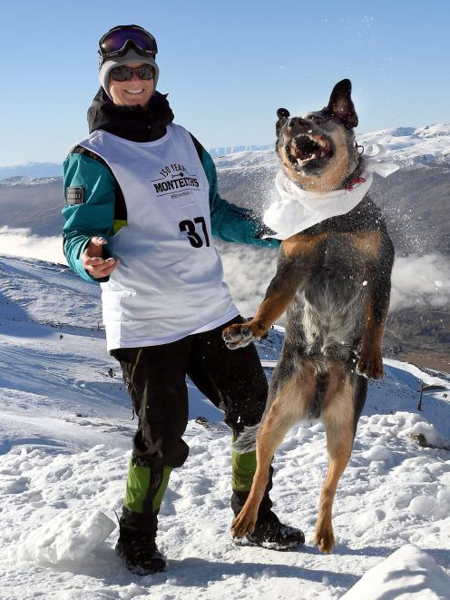 A game of snowball catch was great preparation for yesterday’s  dog derby at Cardrona for Bec ...