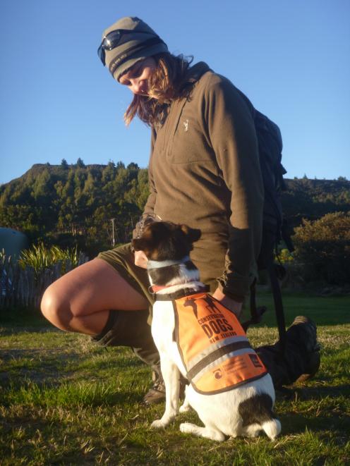 Stoat detection team Macca and Angela. 