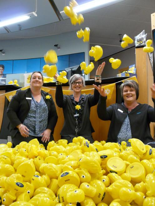 ANZ Balclutha staff members (from left) Crystal Steel, Natalie Paterson and Pauline Simonsen select their fundraising entries for the Daffodil Day Big River Duck Race on September 22. Photo: Richard Davison