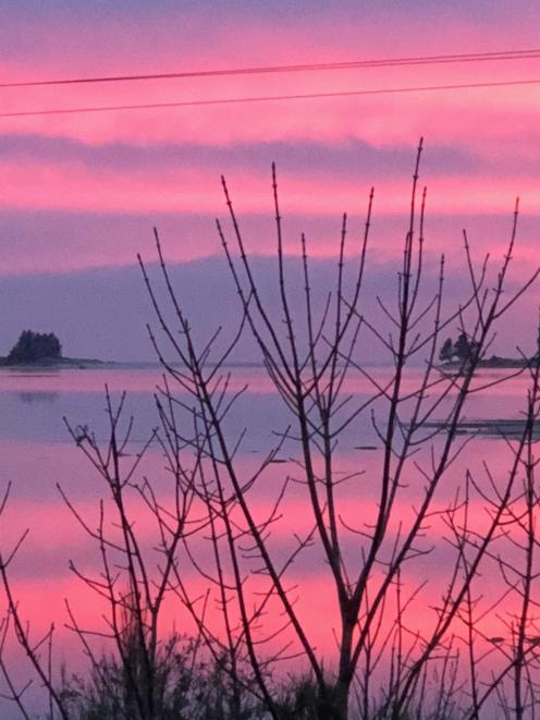 A pink sunrise reflected in Blueskin Bay on Tuesday. Photo: Cassandra Stornoway