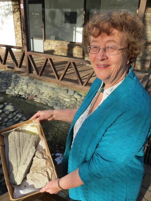 Associate Prof Daphne Lee, of the University of Otago’s geology department, displays an example of a frond found in a fossil at Bannockburn. Photo: Yvonne O'Hara