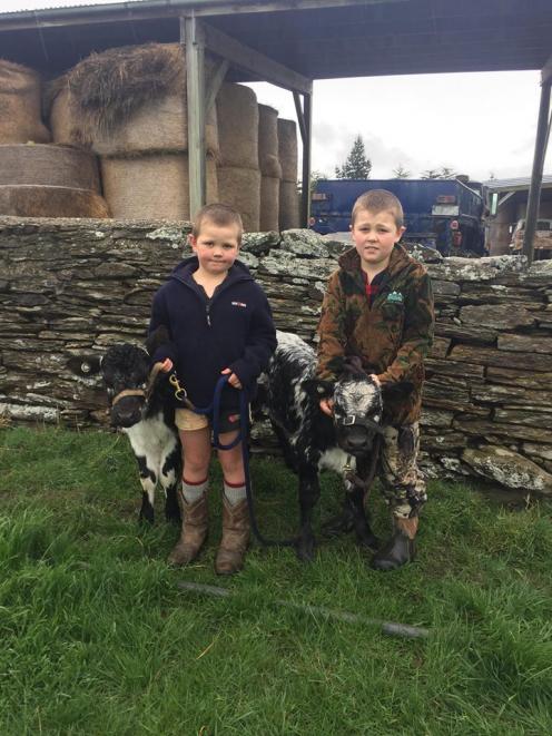Hunter (left) and Bob Tisdall enjoy spending some time with their calves. Leila and Tessa. Photo: Ella Stokes