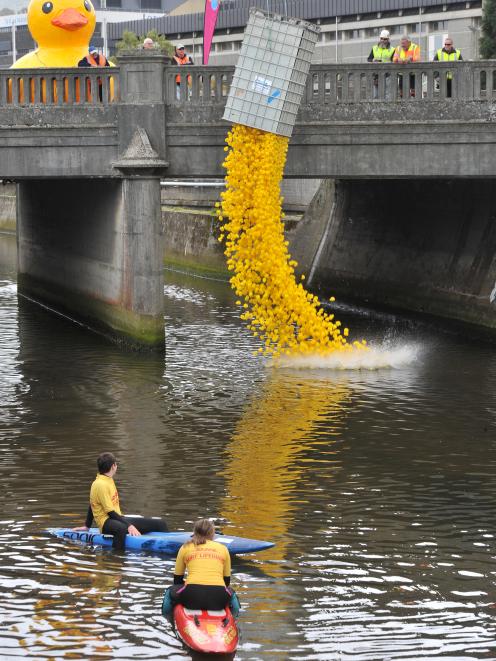 About 5000 rubber ducks are dumped into the Water of Leith from the Anzac Ave Bridge during the...