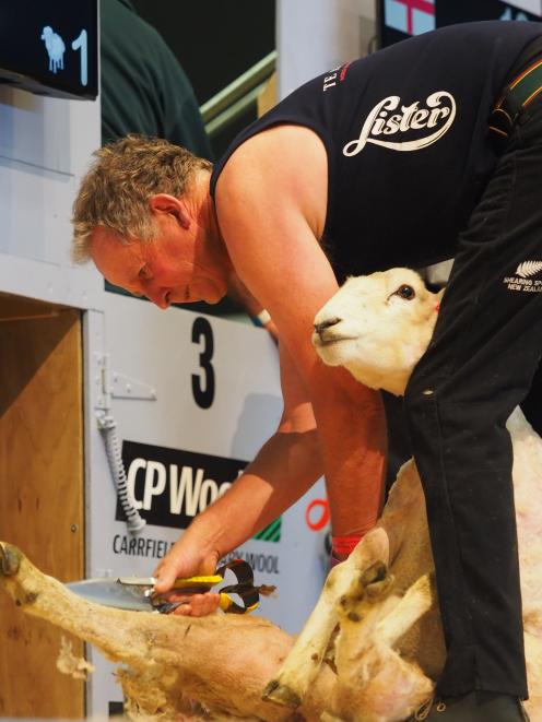 Tony Dobbs, of Fairlie, contesting the world blade shearing championships in Invercargill last year, where he finished second. His goal is to compete in France next year.P