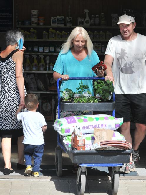 Dunedin home gardeners Ross and Sheryl McCammon stock up on plants and compost at Nichols...