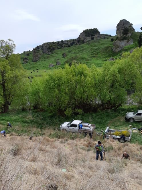 About 30 members of the community plant native species at Black Hole this month. photo:...