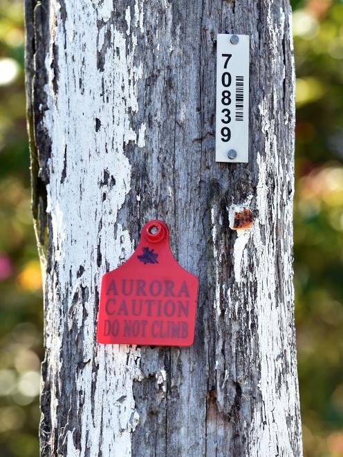 A red-tagged pole due for replacement. Photo: ODT
